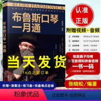 [正版]赠音频布鲁斯口琴一月通 蓝调口琴网创始人张晓松带你轻松学口琴 新手小白入门一月通启蒙私教 课乐理 演奏法练习曲