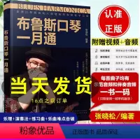 [正版]赠音频布鲁斯口琴一月通 蓝调口琴网创始人张晓松带你轻松学口琴 新手小白入门一月通启蒙私教 课乐理 演奏法练习曲