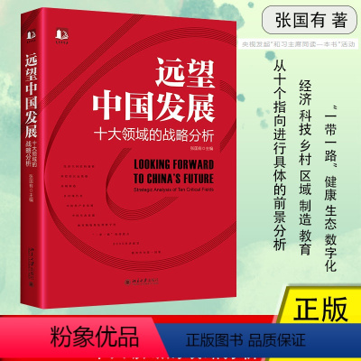 [正版]远望中国发展 十大领域的战略分析 张国有著 北京大学出版社 深入现实 直面问题展望未来倾力求解 探索实现中国式