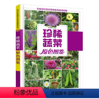 [正版] 珍稀蔬菜原色图鉴 珍稀蔬菜的起源、分类、生长习性、品种类型和应用价值 精选96个当前主流珍稀蔬菜品种识别与鉴