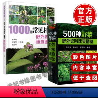 [正版] 全2册1000种常见植物野外识别速查图鉴+500种野菜野外识别速查图鉴 自然科学 生物科学 珍奇野菜栽培与利