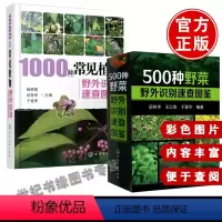 [正版] 全2册1000种常见植物野外识别速查图鉴+500种野菜野外识别速查图鉴 自然科学 生物科学 珍奇野菜栽培与利