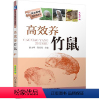 [正版]书籍 高效养竹鼠 张文明 生活习性营养与饲料繁殖与育种疾病预防诊断规模化养殖管理书籍竹鼠高效养殖饲养技术大全教