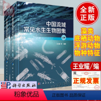 [正版]书籍 中国流域常见水生生物图集 上下册 王业耀水生生物的名录图片及物种形态生活环境环境指示意义等的内容科学出版