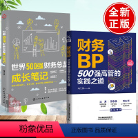 [正版]全2册财务BP500强高管的实践之道+世界500强财务总监成长笔记财务分析实务成本核算会计实务做账教程经营分析