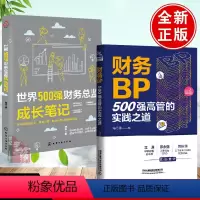 [正版]全2册财务BP500强高管的实践之道+世界500强财务总监成长笔记财务分析实务成本核算会计实务做账教程经营分析