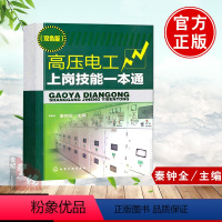 [正版]高压电工书籍高压电工上岗技能一本通 秦钟全 高电压技术 高压电工操作技能入门 电工电路维修教程 高压电气设备操