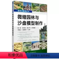 [正版] 园林工程师丛书--微缩园林与沙盘模型制作陈祺,衣学慧,翟小平建筑书籍建筑 园林景观/环境艺术 规划与设计建筑