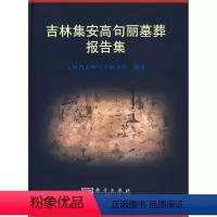 [正版] 吉林集安高句丽墓葬报告集吉林省文物考古研究所科学学术发展报告书籍历史 文物考古 考古报告科学研究报告文集籍