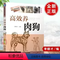 [正版]高效养肉狗 养狗书籍 养狗技术大全书籍 肉狗养殖教程技术书 肉狗场的建设选址 肉狗的饲养管理 肉狗疾病防治 肉