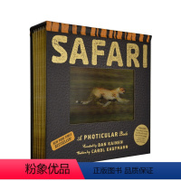 [正版]光与影视觉书 Safari A Photicular Book 会动的3D立体翻翻书 英文原版绘本 视觉动画书