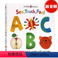 [正版]See Touch Feel ABC 触摸书字母英文原版绘本英文版原版单词学习书籍幼儿英语启蒙纸板书字母图书认