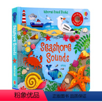 [正版]Usborne出品 Seashore Sounds 海边的声音 英文原版绘本 奇妙触摸发声洞洞书 亲子共读幼儿