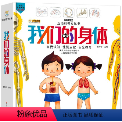 [儿童3d立体翻翻书]揭秘我们的身体 [正版]我们的身体儿童3d立体翻翻书 科普绘本揭秘系列儿童翻翻书3一6-8岁立体书
