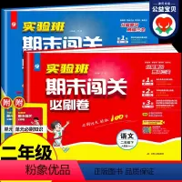 [2本]语文+数学-人教版 二年级下 [正版]2024春 实验班期末闯关必刷卷 二年级下册 语文人教版RJ数学苏教版北师