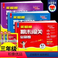 [3本]语文+数学+英语-人教版 三年级下 [正版]2024春 实验班期末闯关必刷卷 三年级下册 语文人教版RJ数学苏教