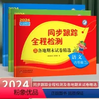 语文+数学+英语-人教版 六年级下 [正版]2024年春季新版 亮点给力同步跟踪全程检测及各地期末试卷精选六年级下册语文