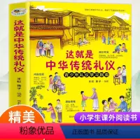 这就是中华传统礼仪 [正版]大本这就是中华传统礼仪 中国礼俗文明文化常识 儿童国学启蒙书籍 习俗民俗知识好习惯培养 中小