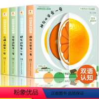 [全套4册]翻翻变变认知书 [正版]阳光宝贝翻翻变变认知书全套4册 幼儿启蒙早教书儿童绘本0到3岁 1-2周岁宝宝书籍一