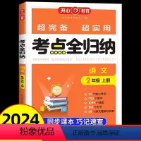 语文考点全归纳 二年级上 [正版]2024年新版开心教育 考点全归纳语文二年级上册 人教版小学2年级上单元全归纳 上学期