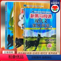 古诗文课外阅读 小学二年级 [正版]2024年版 二年级上册下册 现代文语文课外阅读A版B版语文英语阅读理解专项训练小学
