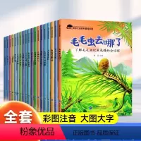 奇妙大自然科普绘本[第一辑+第二辑全20册] [正版]奇妙的大自然科普绘本 绘本4一6岁幼儿园绘本阅读小班中班大班3—5