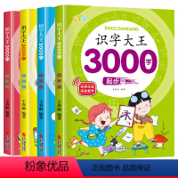 [全套四册]识字大王3000字 [正版]识字大王3000字识字书幼儿认字 幼儿识字启蒙认字卡片 识字卡3000字幼儿园认