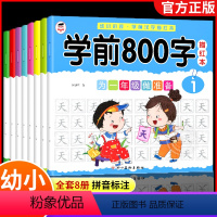 学前800字汉字描红本 [正版]学前800字全套8册 幼小衔接升一年级幼升小练习册学前汉字描红本练字帖 幼儿园练字帖幼儿