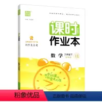 数学苏科版 九年级下 [正版]2024版 通城学典 课时作业本九年级数学下册江苏版苏科版中学教辅江苏9年级苏教版同步训练