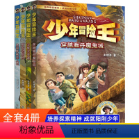 [全4册]少年冒险王戈壁篇 [正版]少年冒险王升级版全套 9-14岁青少年探险小说野外生存自然科普故事书小学生三四五六年