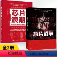 [正版]全2册芯片浪潮纳米工艺背后的全球竞争+芯片战争余盛芯片行业发展台积电联华电子三星英特尔芯片制造工作原理集成电路