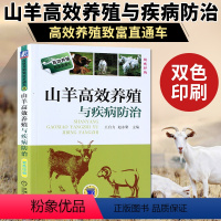 [正版]山羊高效养殖与疾病防治 养羊技术大全书籍 羊病全书技术书 兽医实用手册预防诊断科学生态饲养技术波尔山羊牛羊病基