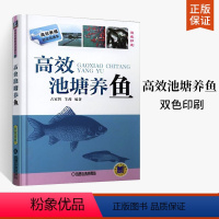 [正版]高效池塘养鱼 养鱼技术书草鱼淡水鱼养殖鱼病防治书籍 水产淡水鱼书如何养鱼资料书饲料配方图谱大全 鱼病防治与池塘