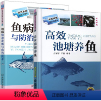 [正版]养鱼书籍技术 大全一本通 草鱼养鱼书 高效池塘养鱼+鱼病快速诊断与防治技术 养殖鱼病图谱水产淡水鱼如何养鱼资料