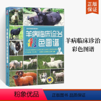 [正版]羊病临床诊治彩色图谱实用羊病防治新技术手册 疾病防治诊断**常见疾病防疫检疫高效养羊养羊技术大全书籍羊病临床诊