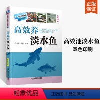 [正版]高效养淡水鱼(双色印刷) 高效养殖致富直通车 养鱼书籍技术养殖鱼病图谱水产淡水鱼书如何养鱼资料书饲料配方 农业