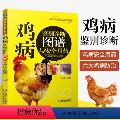 [正版]鸡病鉴别诊断图谱与安全用药 养鸡技术书蛋鸡养殖技术书籍大全鸡病鉴别诊断图谱与防治土鸡肉鸡散养鸡养殖及用药鸡白痢