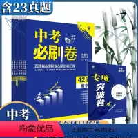 语文 河北省 [正版]河北专版2024新版河北中考必刷卷42套语文数学英语物理化学道德与法治历史初三九年级历年真题试卷模
