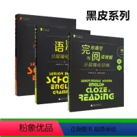 [正版](三本一套)黑皮系列高二英语语法+听力+完形与阅读分层强化训练高中高二英语分层强化训练黑皮系列广西师范大学出版