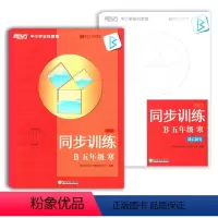 [正版]新东方中小学全科教育同步训练 B 五年级 寒 浙江教育出版社 小学五年级数学计算题应用题同步天天练大全课外训练