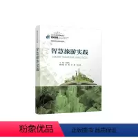[正版] 书籍智慧旅游实践
