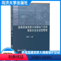 [正版]超高层建筑群大规模地下空间智能化安全运营管理 张鹏飞 空间规划建设/设计/施工/监理/运维/智慧技术/工程类高
