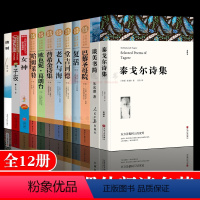 [正版]高中生名著全12册 复活巴黎圣母院堂吉诃德普希金诗选集子夜女神老人与海呐喊泰戈尔哈姆莱特欧也妮葛朗台课外书