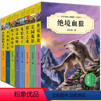 (全8册)沈石溪中外动物小说精品 第二辑 [正版]沈石溪动物小说长篇中外品藏书系被放逐的狮王34-5-6三四五六年级课外