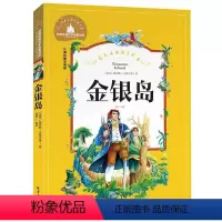 [正版]世界经典文学名著宝库 金银岛 彩图注音版 儿童读物7-10岁 一二三年级6-7-8-10-12岁课外书籍名著儿