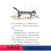 李大猫小传 [正版]李大猫小传(1-3) 郑春华 著 沈苑苑 绘 儿童文学 少儿 南京大学出版社