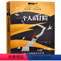 一个人的冒险 [正版]莉齐的选择 白鲸大奖作家书系 外国儿童文学作品小说 青少年中小学生三四五六七年级课外读物 7-12