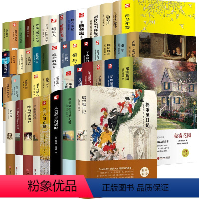 全套48册 [正版]稻草人 叶圣陶著 翰墨文库 中国文联出版社 近代小说儿童文学青少年中小学生一年级三年级上册课外读物