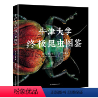 单本全册 [正版]书牛津大学昆虫图鉴 中小学生自然科学生物科普读物百科全书 *显微镜高清昆虫标本照片 科普儿童动物书 探