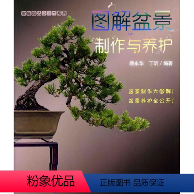 [正版]文 家庭园艺DIY系列:图解盆景制作与养护 9787122072443 化学工业出版社3